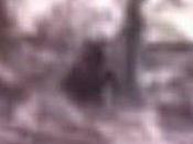 Bigfoot News August 2013