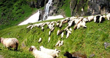 Mountaineering in Kashmir