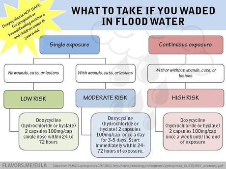 Health first: what to do if you waded in flood water