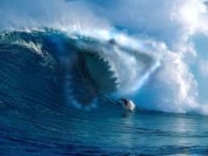 Surf Bum  (courtesy Google Images)