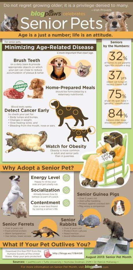 august_seniors_info