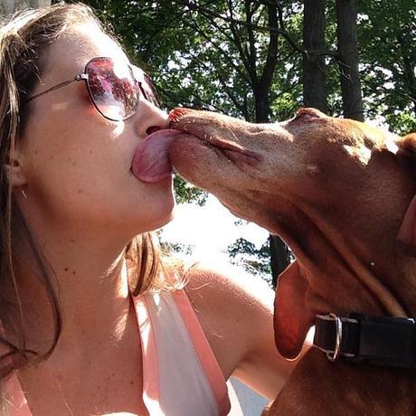 Inappropriate and undeniable #vizsla #vizslalove #velcrodog #love at first sight
