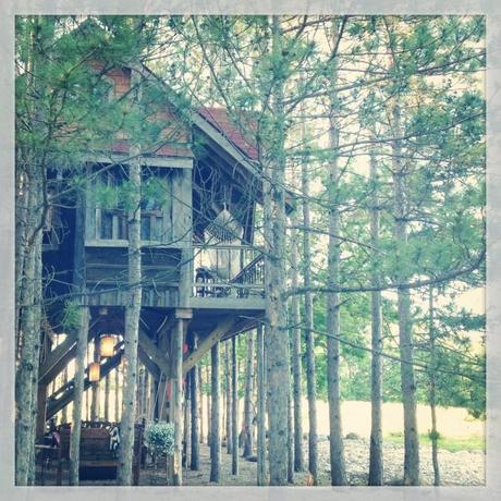 #DIY ~ Going out on a limb by creating an upcycled #recycled adult sized #treehouse. Read more here : http://www.lynneknowlton.com/our-treehouse/