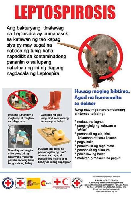 Leptospirosis by PHRC