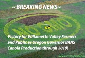 Oregon Bans GMO Canola production image