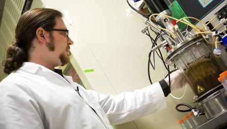 Jeremy Minty, a recent doctoral graduate in Nina Lin's lab at U-M, adjusts the bioreactor in which the fungus and bacteria convert tough plant materials to biofuel. (Сredit: Joseph Xu)