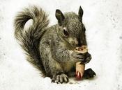 Hold Your Nuts! Flesh-eating 'Squirrels' Coming