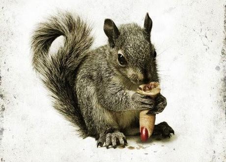 Hold on to Your Nuts! Flesh-eating 'Squirrels' Are Coming