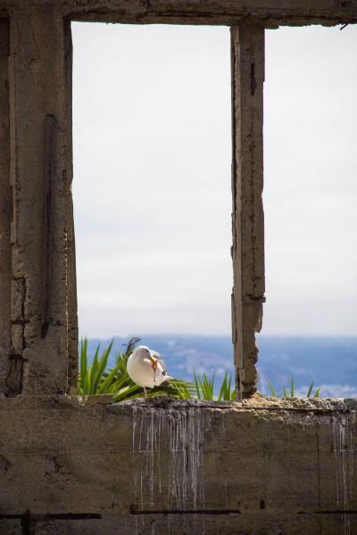 alcatraz 5 400x600 San Francisco: Alcatraz and Walking Around Downtown 