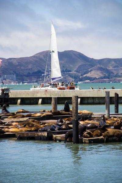 pier 39 2 400x600 San Francisco: Alcatraz and Walking Around Downtown 