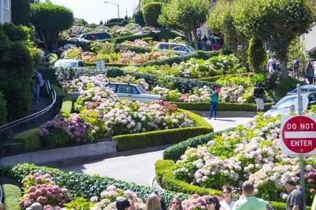 lombard street 650x433 San Francisco: Alcatraz and Walking Around Downtown 