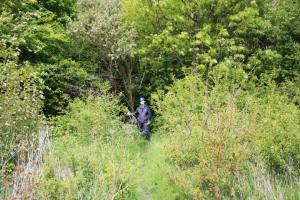 Before clearing reptile corridor