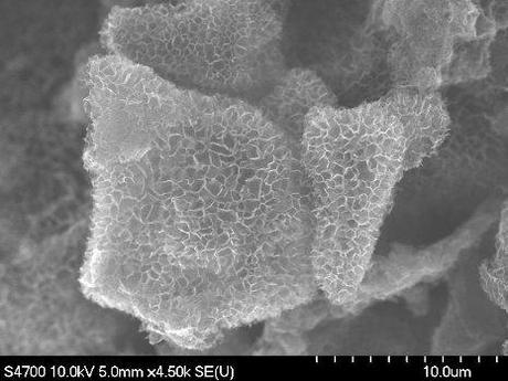 A field emission scanning electron microscopy (FESEM) image of 3D honeycomb-structured graphene. (Credit: Hui Wang / Michigan Tech)