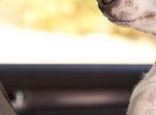 Momschlepping Challenge: School Year Driving Seat Again....