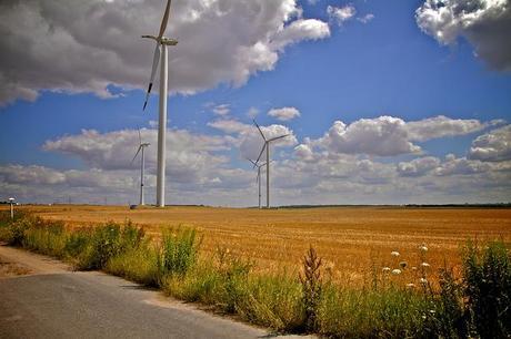 Windmill plants