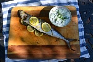 Roasted Mackerel and Tzatziki