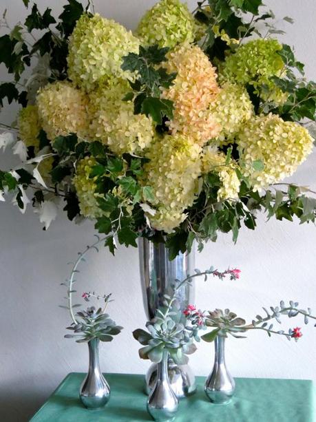 Hydrangea set-up