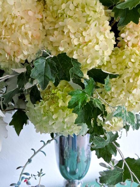 Hydrangea arrangement