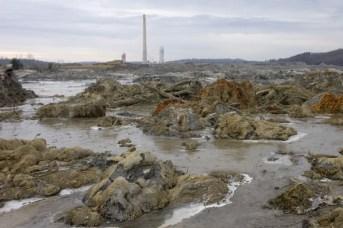 In a Dec. 23, 2008, photograph, the stacks of TVA’s Kingston Fossil Plant in Roane County stand over 5.4 million cubic yards of ash sludge after the failure of a storage cell. (J. Miles Cary/News Sentinel) 