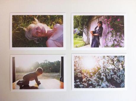 All four promo cards Katherine Wolkoff sent in one envelope. chicken baby flowers garden lifestyle beautiful table window