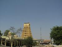 76) Mysore – Old Pure Ways: (13/4/2013)