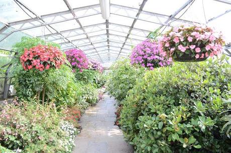 Adventure Aberdeen: Duthie Park