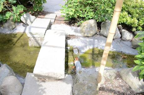 Adventure Aberdeen: Duthie Park