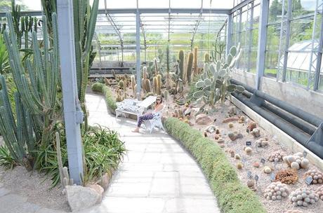 Adventure Aberdeen: Duthie Park