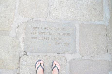 Adventure Aberdeen: Duthie Park