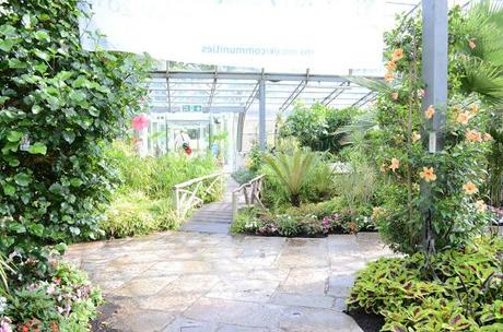 Adventure Aberdeen: Duthie Park