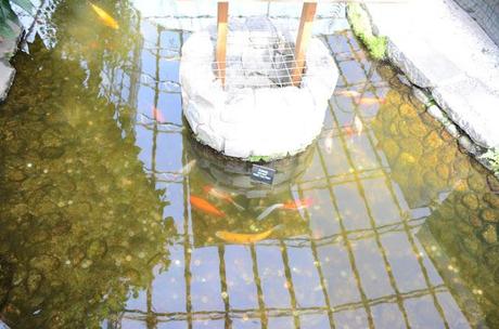 Adventure Aberdeen: Duthie Park