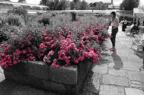 Adventure Aberdeen: Duthie Park