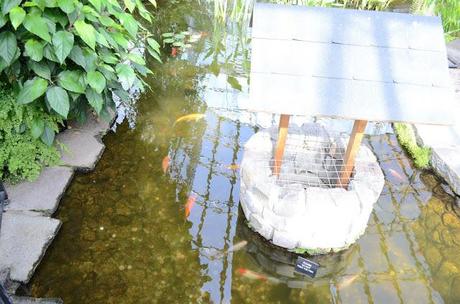 Adventure Aberdeen: Duthie Park