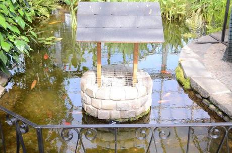 Adventure Aberdeen: Duthie Park