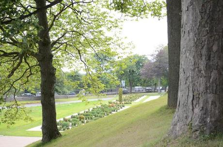 Adventure Aberdeen: Duthie Park