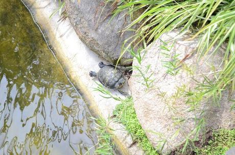 Adventure Aberdeen: Duthie Park
