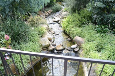 Adventure Aberdeen: Duthie Park