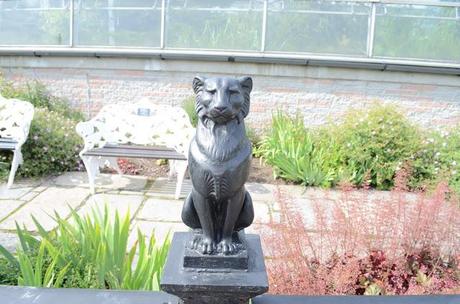 Adventure Aberdeen: Duthie Park