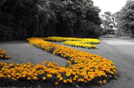 Adventure Aberdeen: Duthie Park