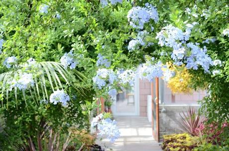 Adventure Aberdeen: Duthie Park