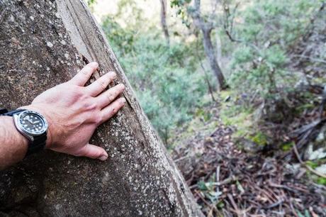 leaning against tree on ah kow spur