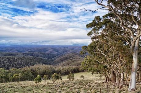 lerderderg gorge from mount blackwood