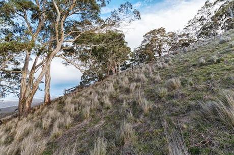 steep slope up mount blackwood