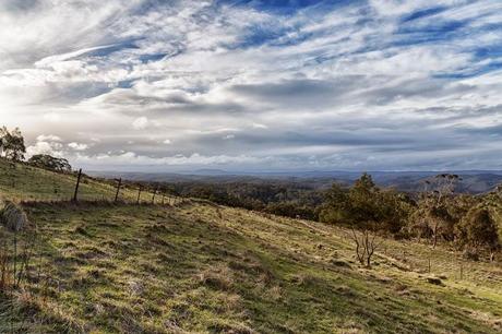 grassy great dividing trail with lerderderg gorge in distance