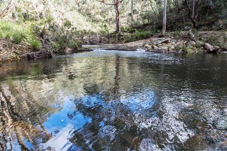 wading lerderderg river