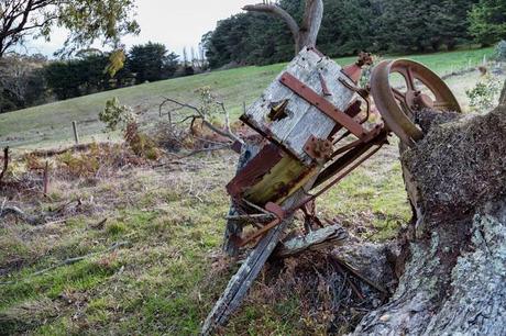 old farming trailer against tree