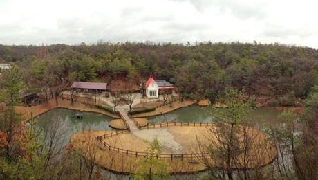 Inspired By #6 : My Neighbor Totoro & Links photo kaau-xlarge_zps9c9e8554.jpg