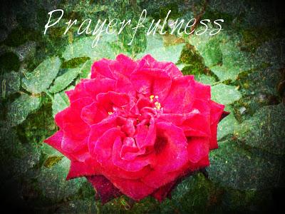 Prayerfulness - Thought for the Day - 52 Weeks of Colour