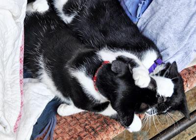 A Sister Keeps Her Sister Clean ... Whether She Likes It Or Not