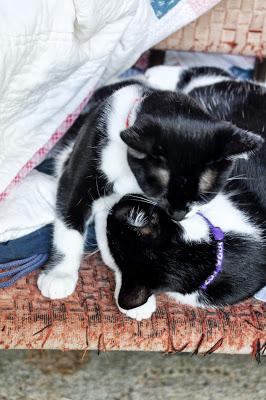 A Sister Keeps Her Sister Clean ... Whether She Likes It Or Not